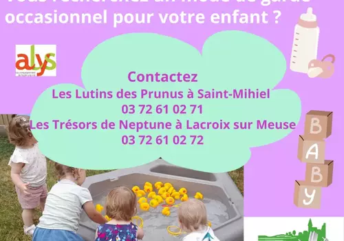 Accueil occasionnel dans les crèches du Sammiellois